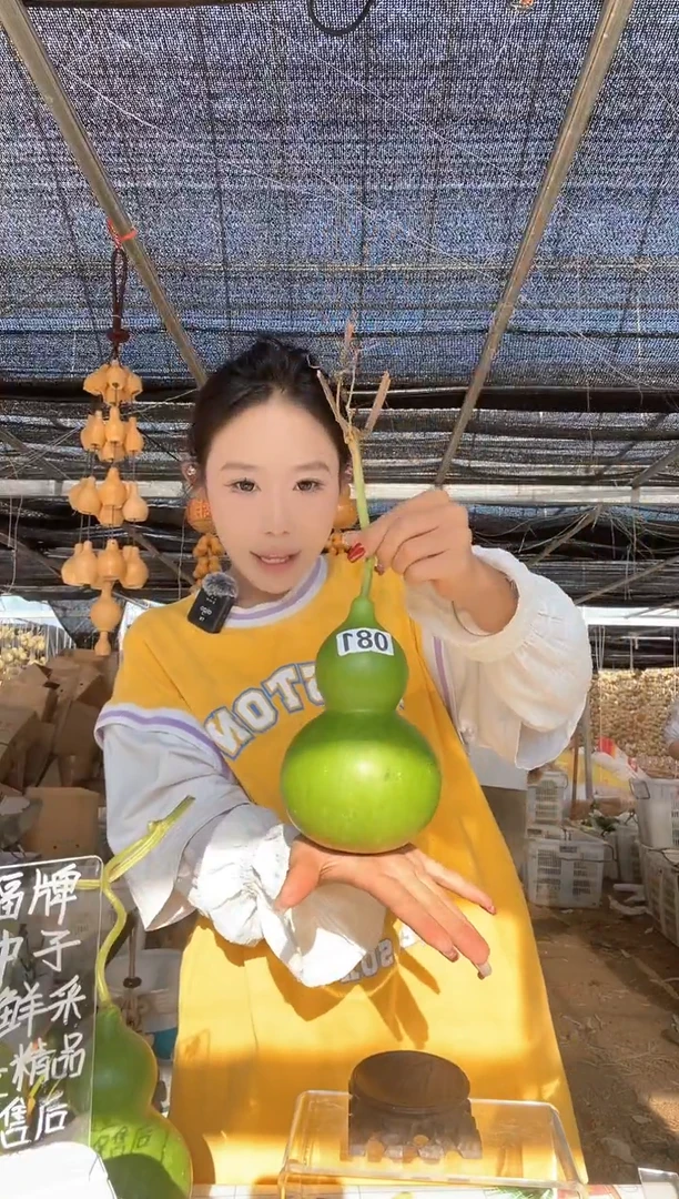 081天然葫芦摆件 一物一拍龙头不保售后