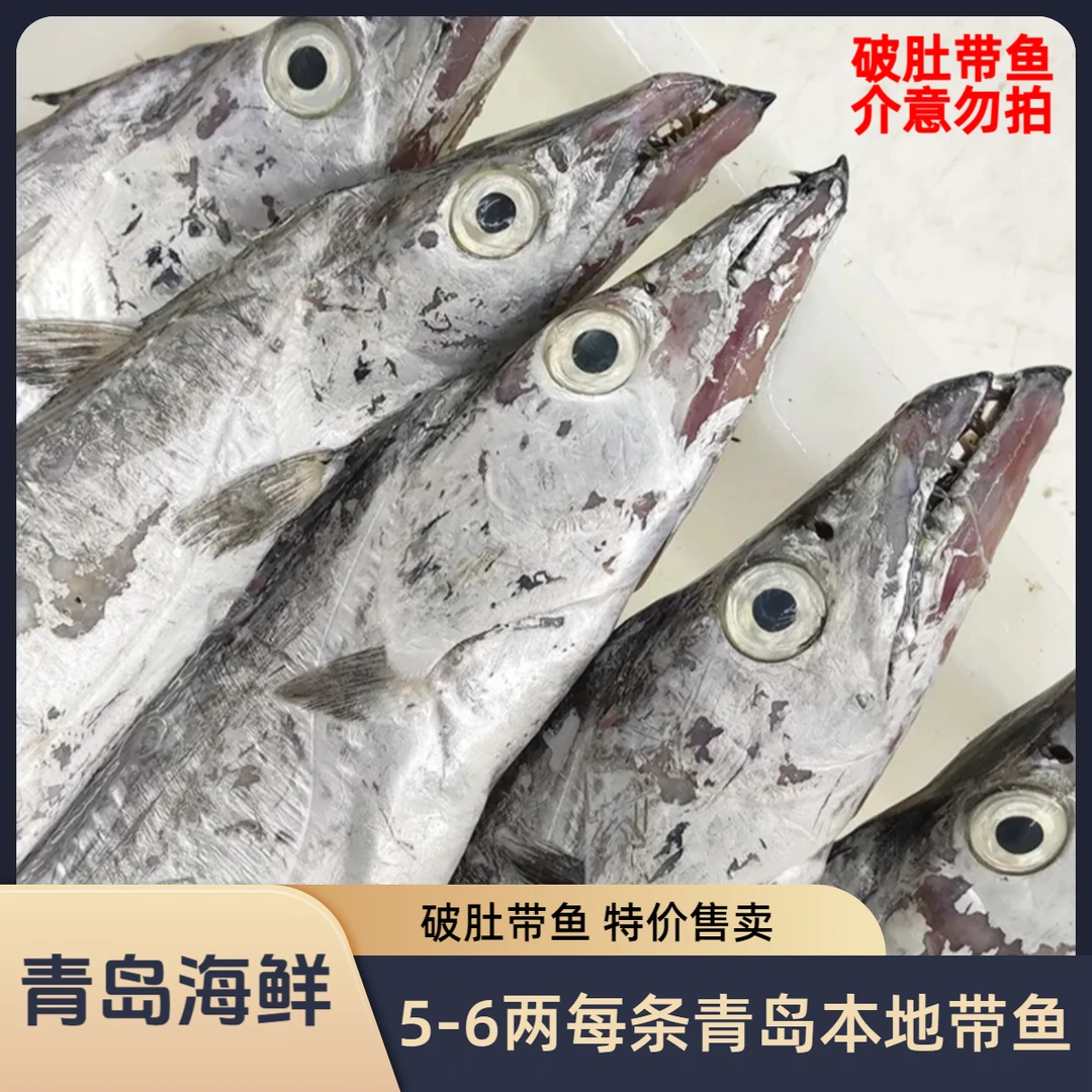破肚带鱼 5-6两/条净重4斤 7-8条 鲜活速冻 本地新鲜海捕小眼油带