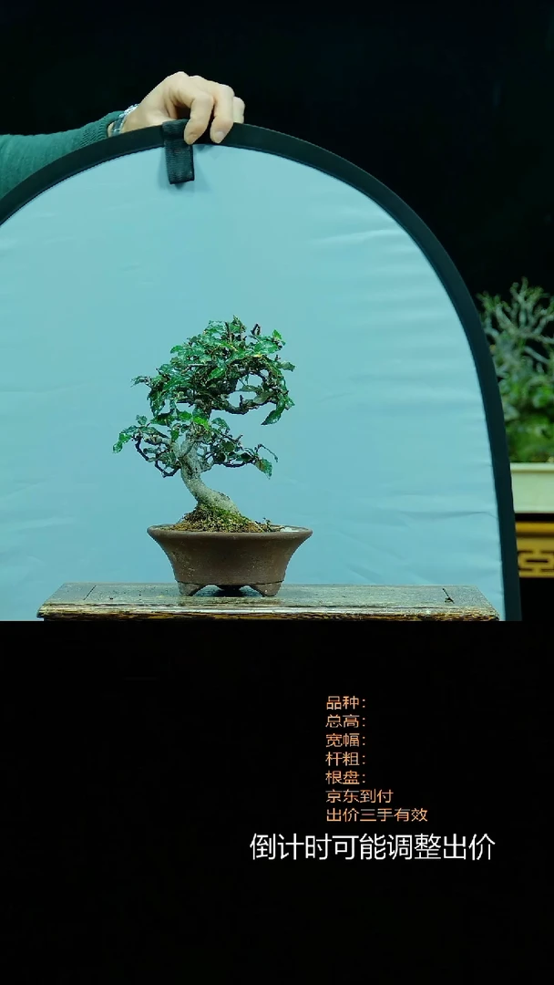 【闪购商品】00000