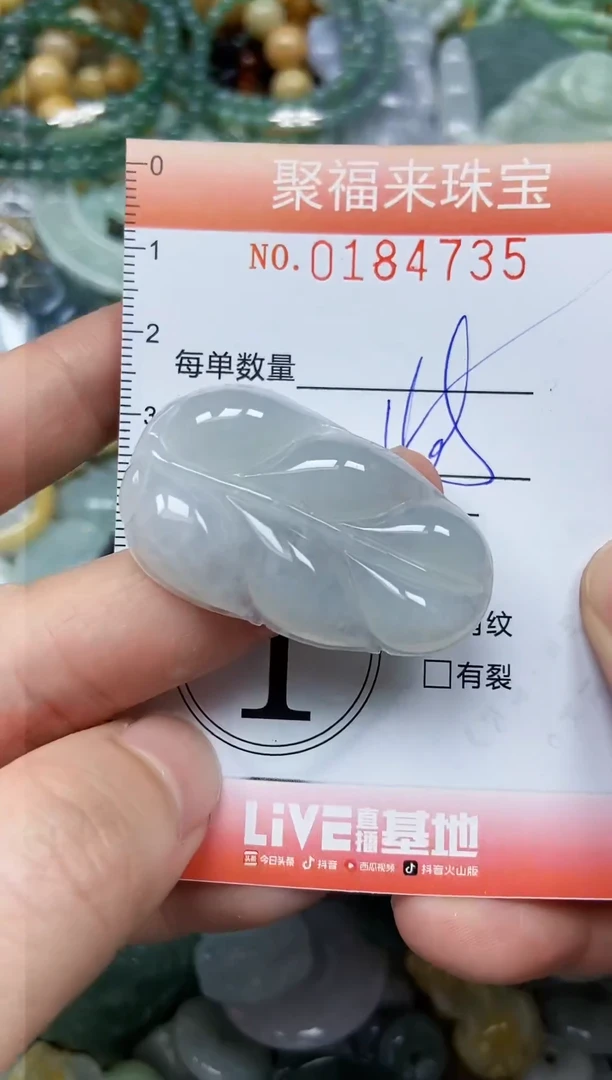 翡翠未镶嵌颈饰闪购0184735