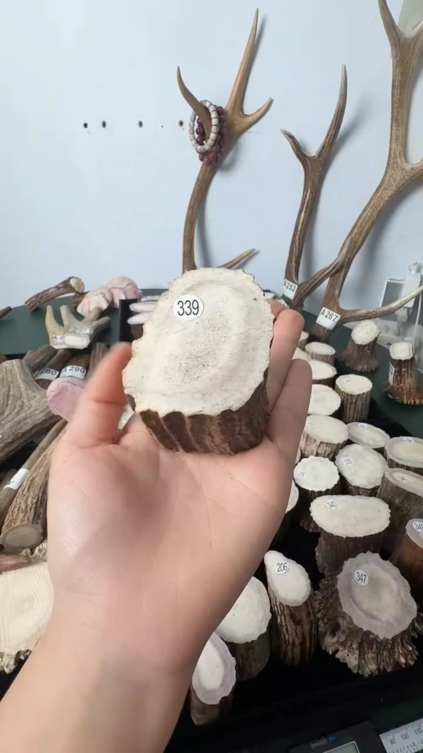 原皮鹿角雕刻料高密度