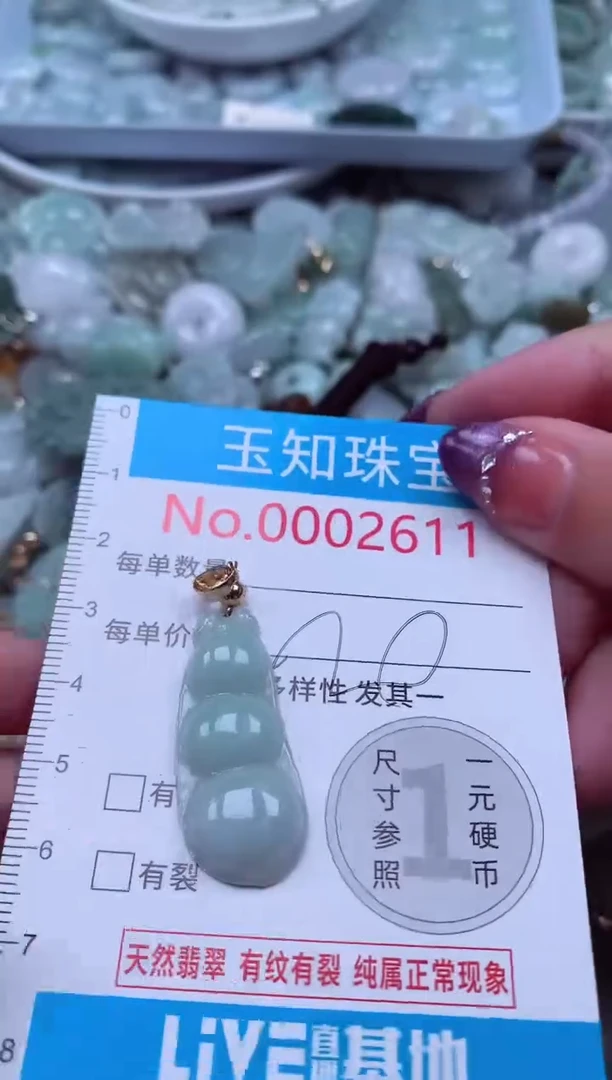 翡翠未镶嵌吊坠(不含链)2611