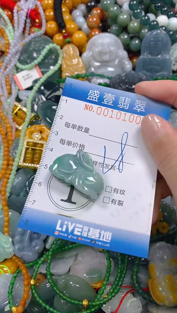 颈饰未镶嵌翡翠闪购0010100