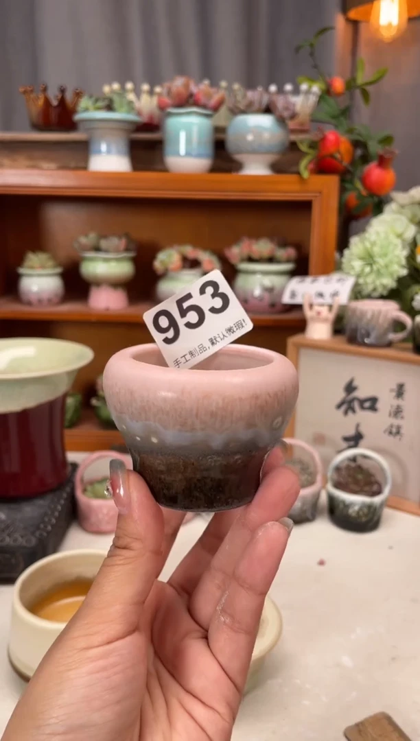 瓷片953小芳直播编号