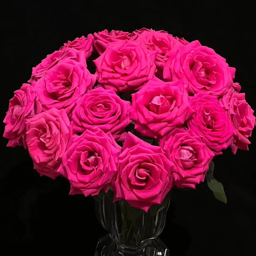 【小阿阮】A级#弗洛伊德#大马士革玫瑰香水浓郁色彩鲜插花 顺丰直发