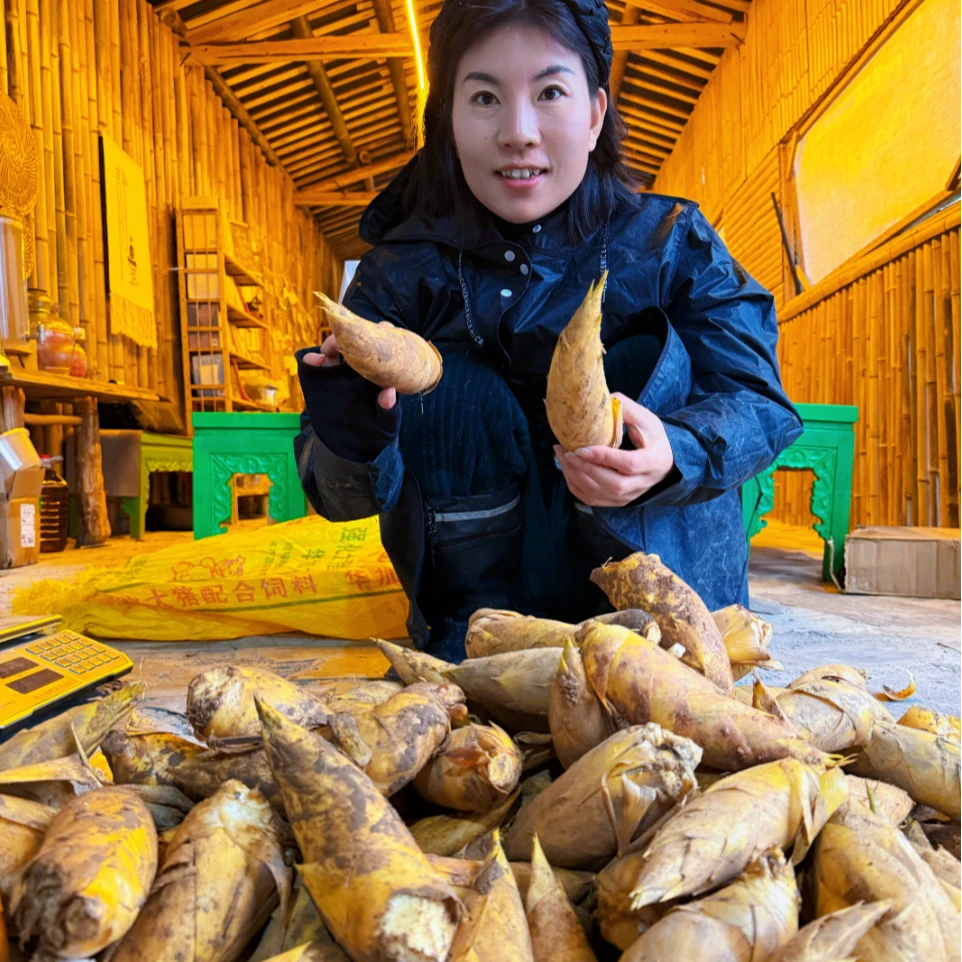 [有味专属]湖南桃江现挖冬笋精品3-8两浮邱山冬笋包邮