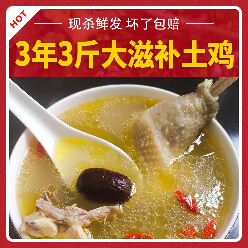 正宗农家散养3年土鸡三年老母鸡柴鸡草鸡走地笨鸡现杀滋补月子鸡