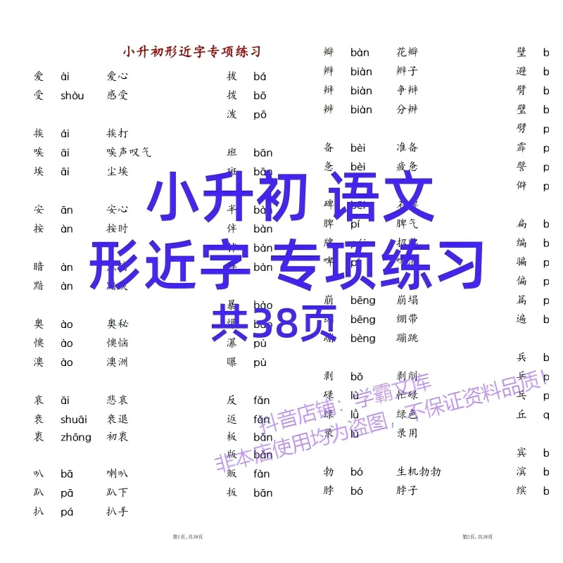 c5小升初语文形近字专项练习电子版PDF
