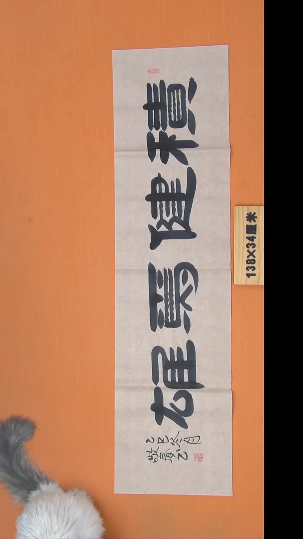 书法袁老师精美作品纯手写138*34