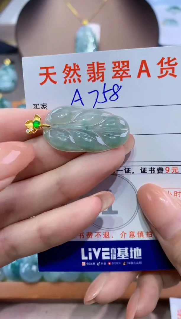 翡翠未镶嵌颈饰天然翡翠A货挂件
