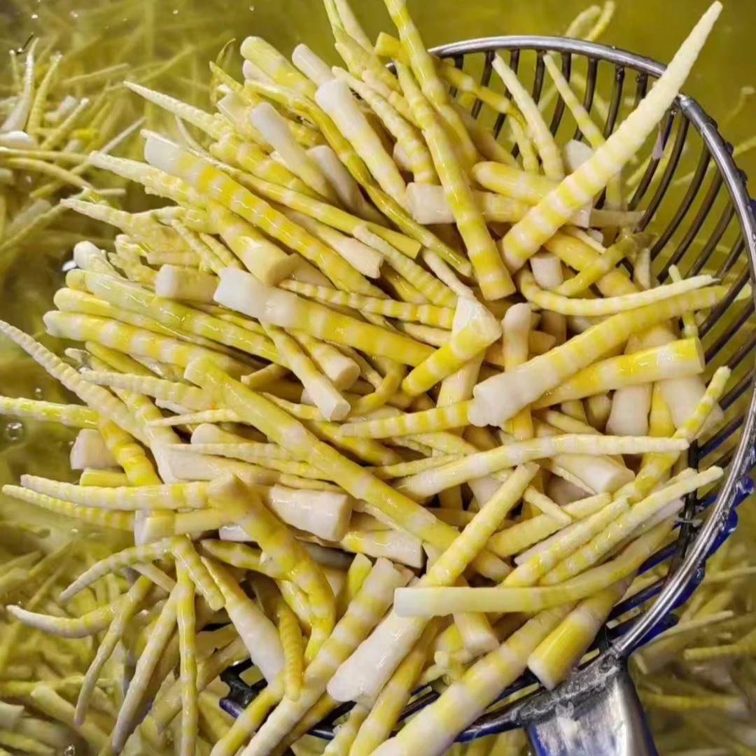 云南高山新鲜天然方竹笋脆嫩笋可作火锅食材