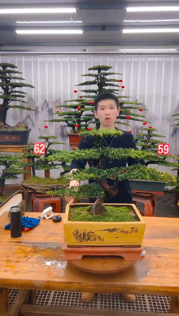 【闪购商品】紫砂精品盆景直播间一物一拍