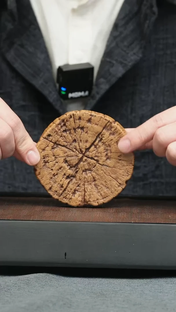 【闪购商品】紫砂茶壶五堂 树根壶承