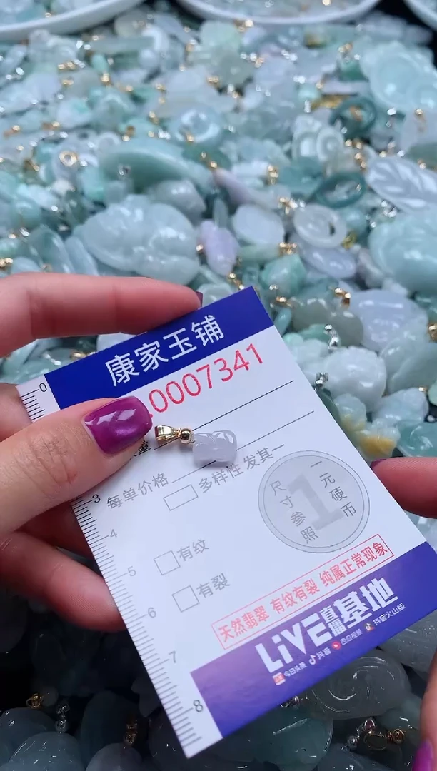 颈饰未镶嵌翡翠7341