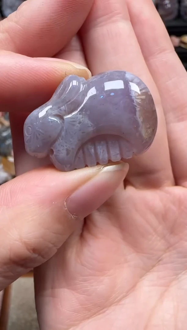 颈饰未镶嵌硅化珊瑚（珊瑚玉）850