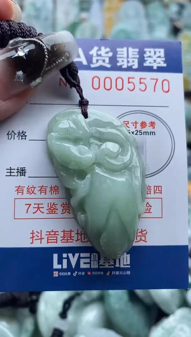 翡翠未镶嵌吊坠(不含链)1