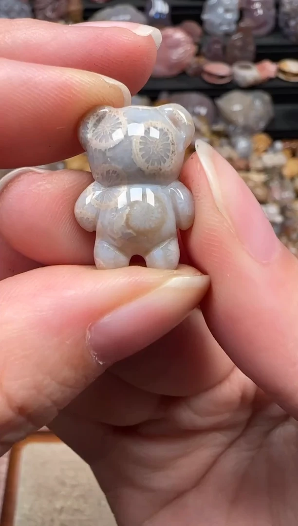 颈饰未镶嵌硅化珊瑚（珊瑚玉）787