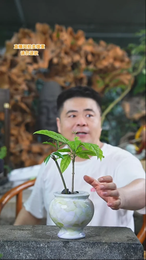 完全开放龙吐珠048+