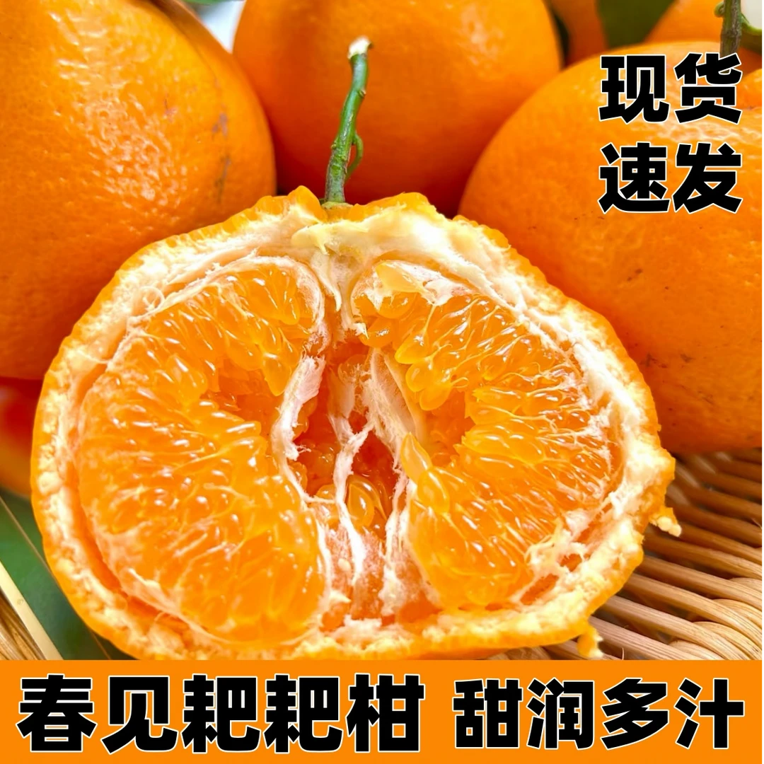 【彩箱礼盒装】四川正宗耙耙柑 当季新鲜现摘口感多汁 一口遇见春天