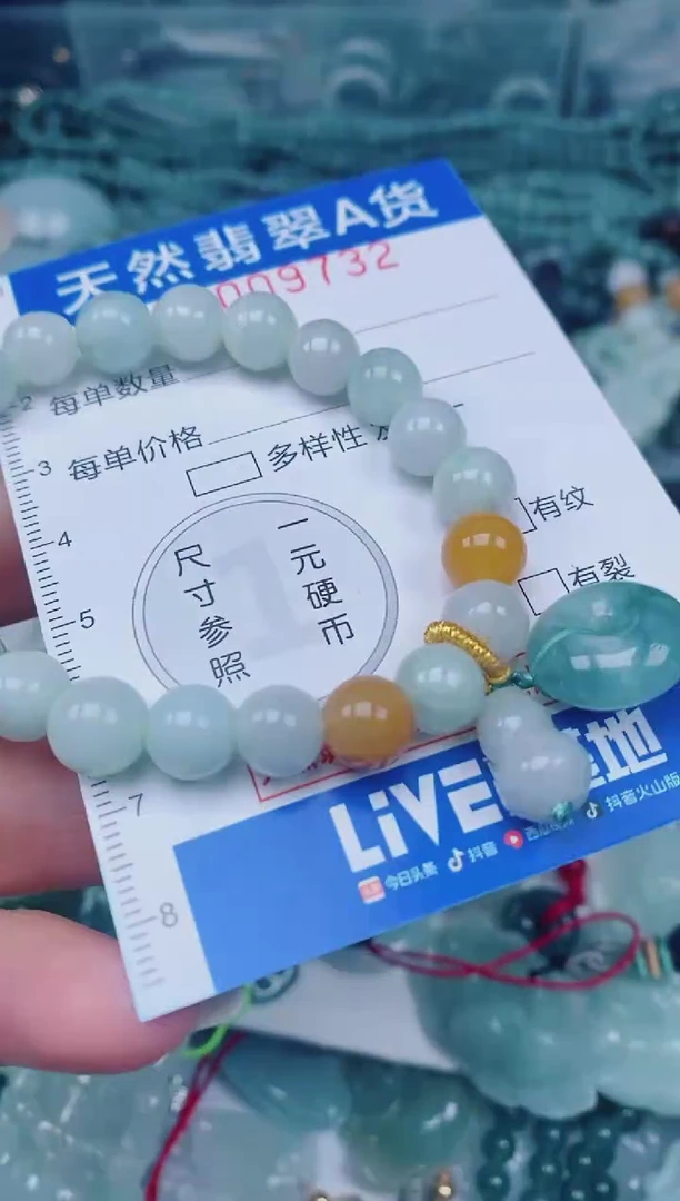 颈饰未镶嵌翡翠00009732