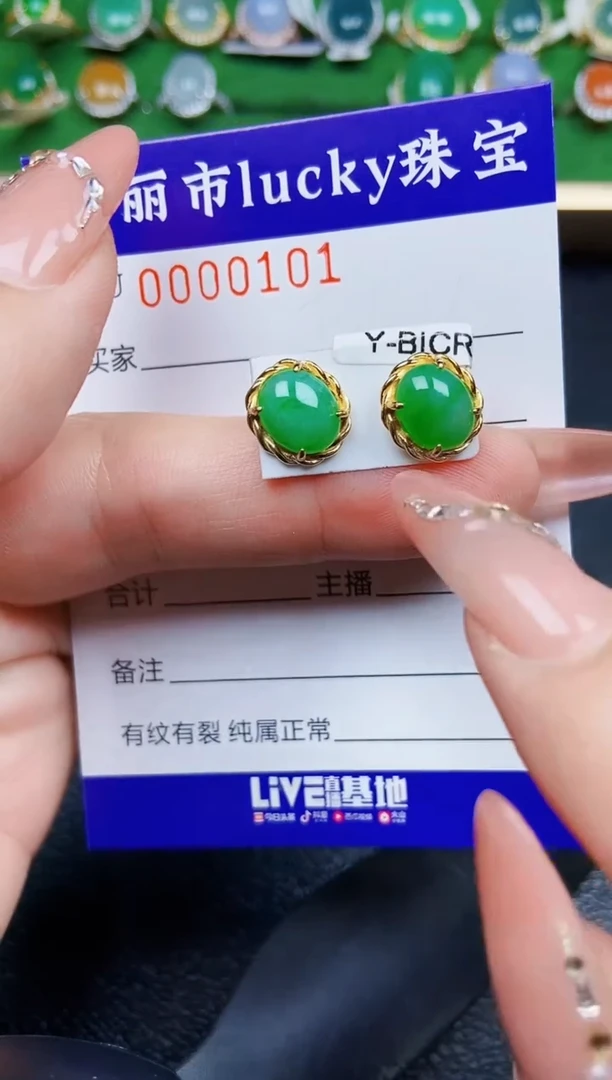 【闪购商品】翡翠颈饰银S925镶嵌0101