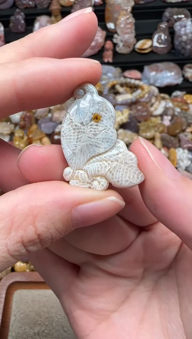 颈饰未镶嵌硅化珊瑚（珊瑚玉）567