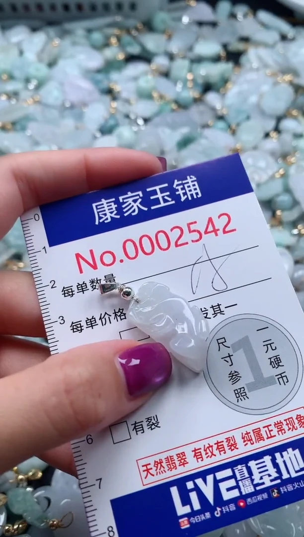 颈饰未镶嵌翡翠2542