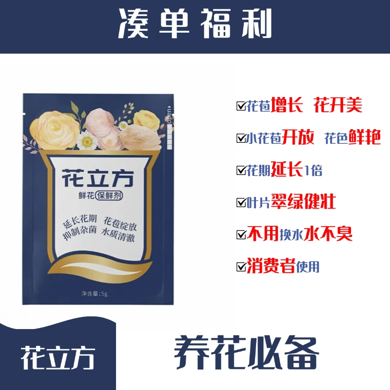 【早市福袋链接】花立方优质百合鲜花营养液
