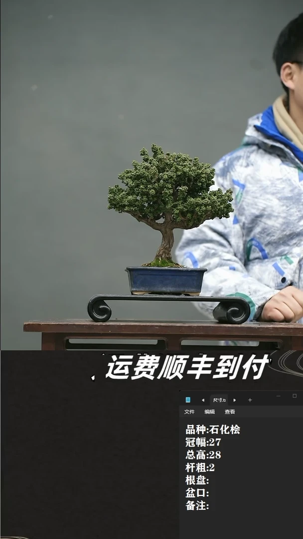 【闪购商品】44 石化桧