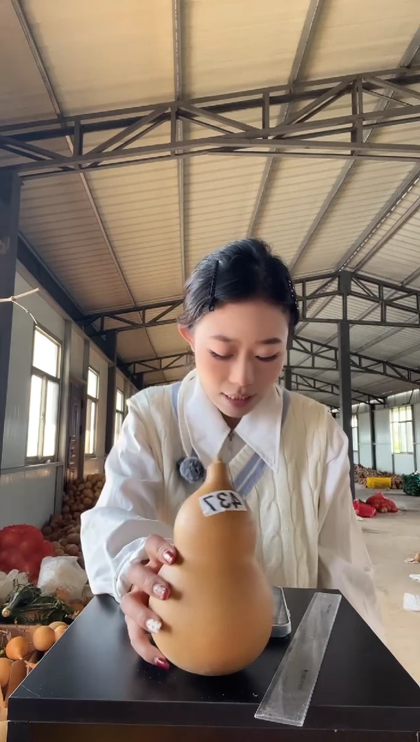 天然葫芦摆件 一物一拍龙头不保售后不带礼品