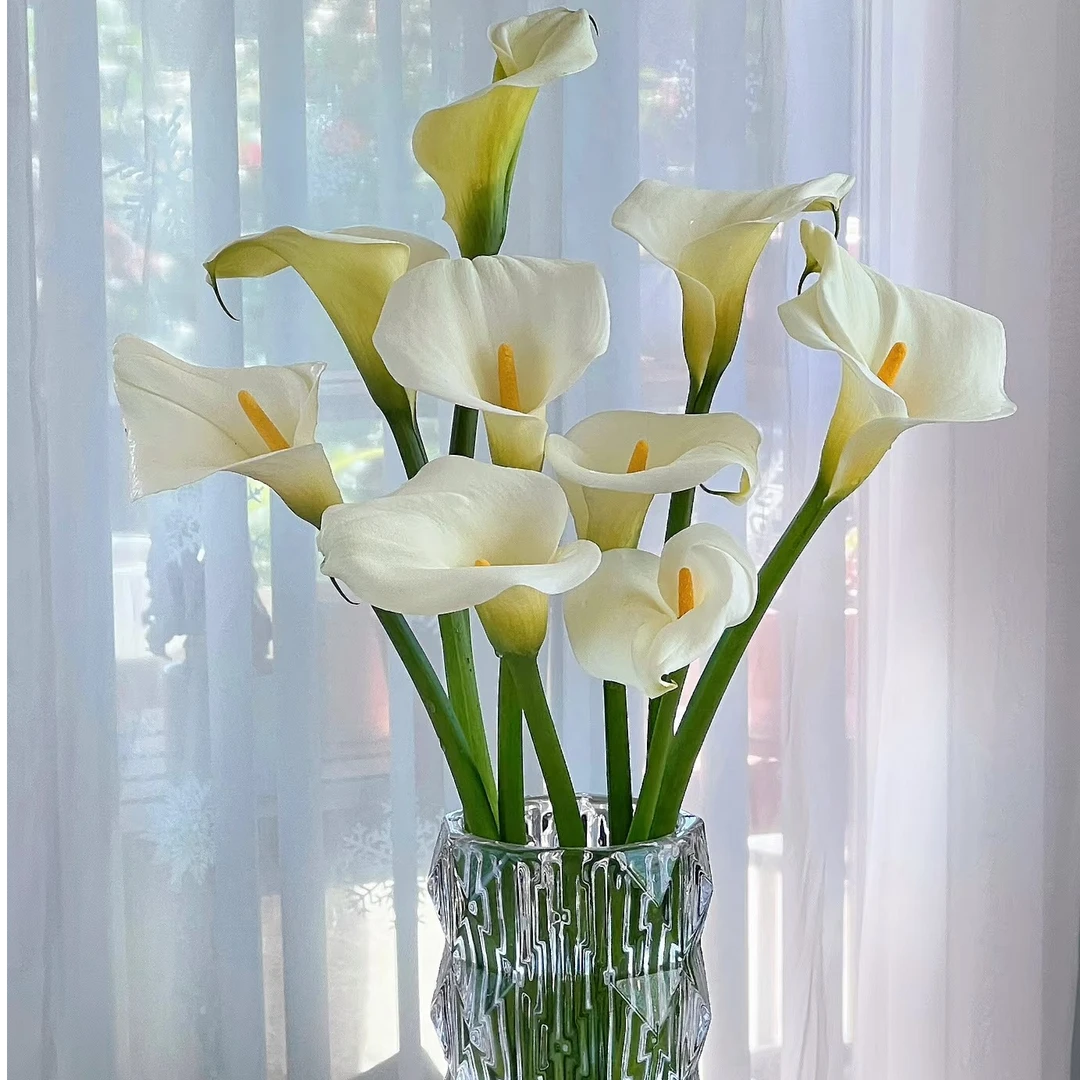 鲜花【白马蹄莲】同地址两单以上顺丰包邮送货上门+送配草1扎