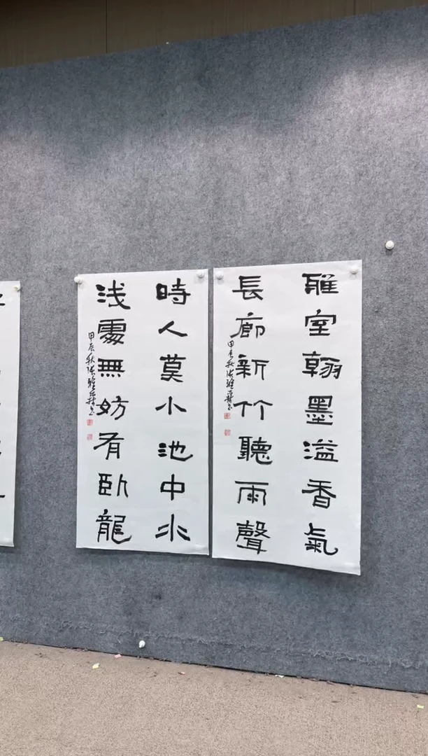 【闪购商品】书法pmw不二轩旗舰店书法ZYS21