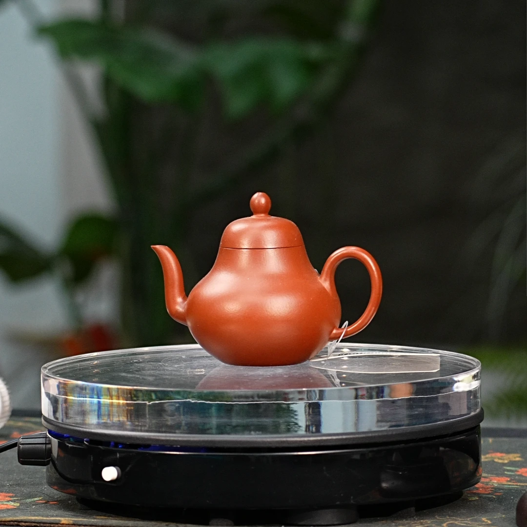 037 120cc 思婷 0520010597