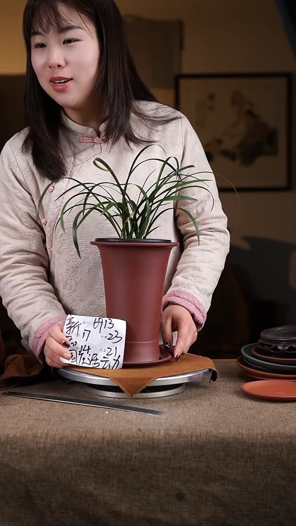 【闪购商品】紫砂花盆紫砂花盆6913+z