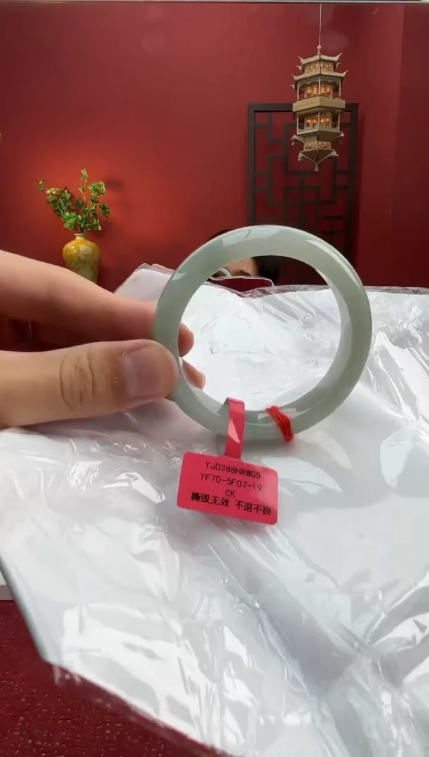 未镶嵌手镯翡翠翡翠手镯22