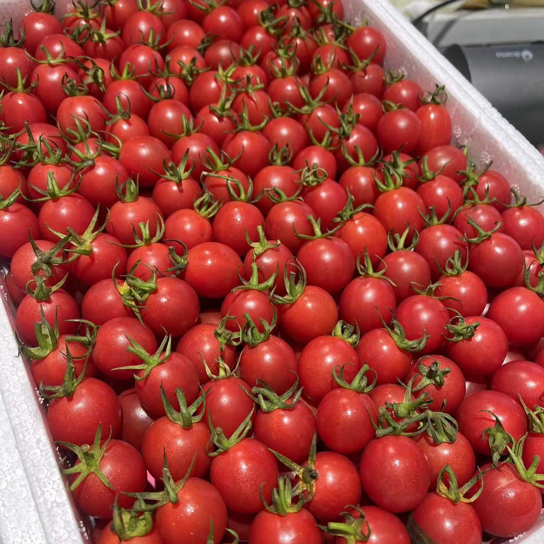 玲珑千禧19.8/斤