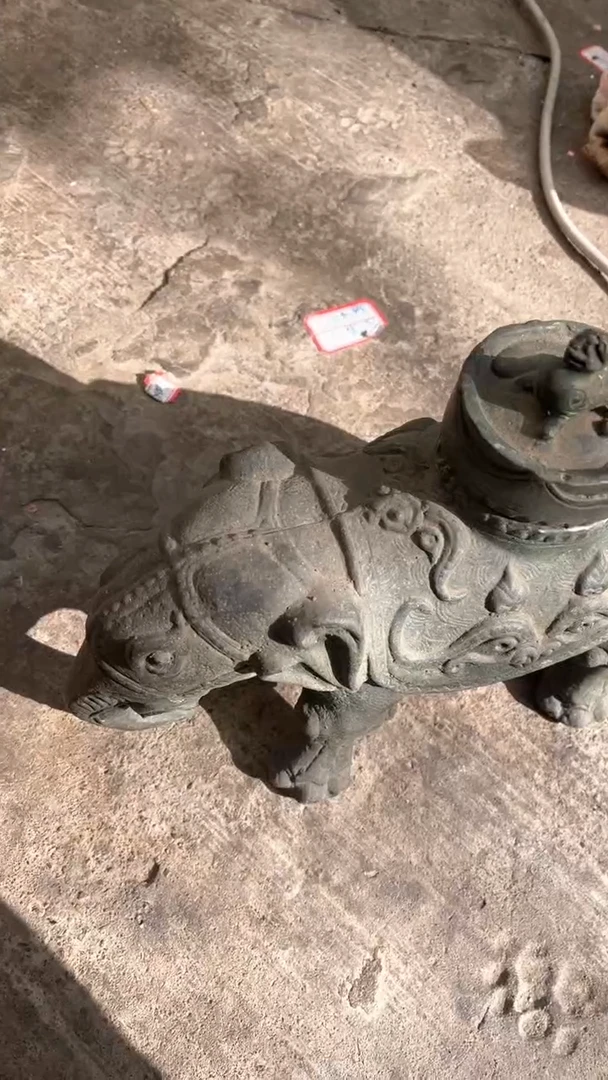 【闪购商品】565645445565454565