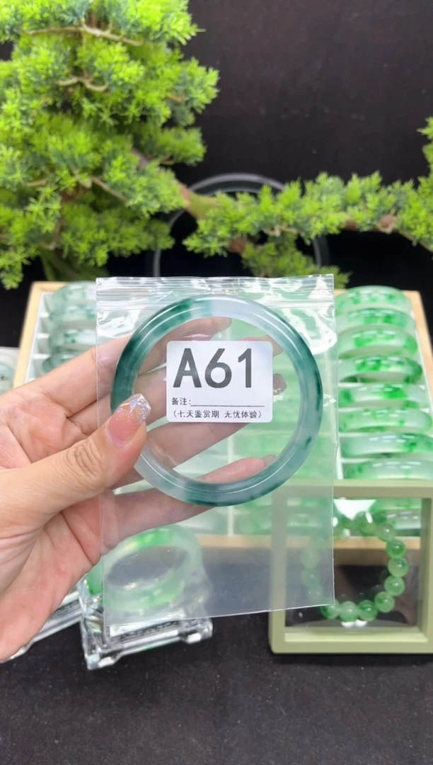 A61 抓紧去拍哦小宝！！