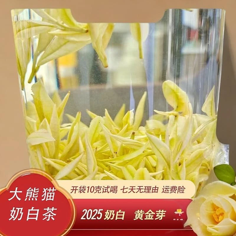 【大熊猫奶白黄金芽】N98安吉原产地奶白茶安吉白茶春季罐装送礼