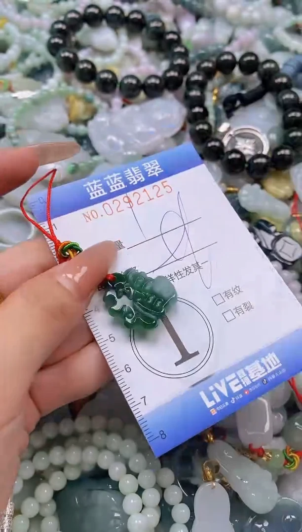 翡翠未镶嵌颈饰闪购0292125