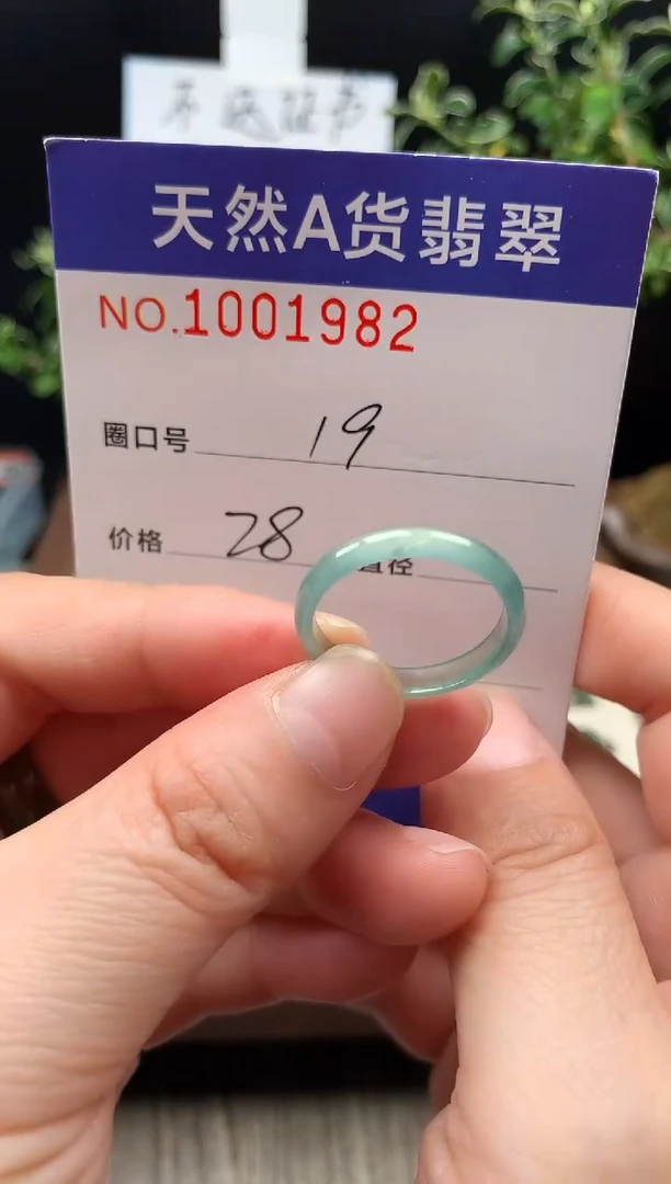 未镶嵌戒指翡翠19#