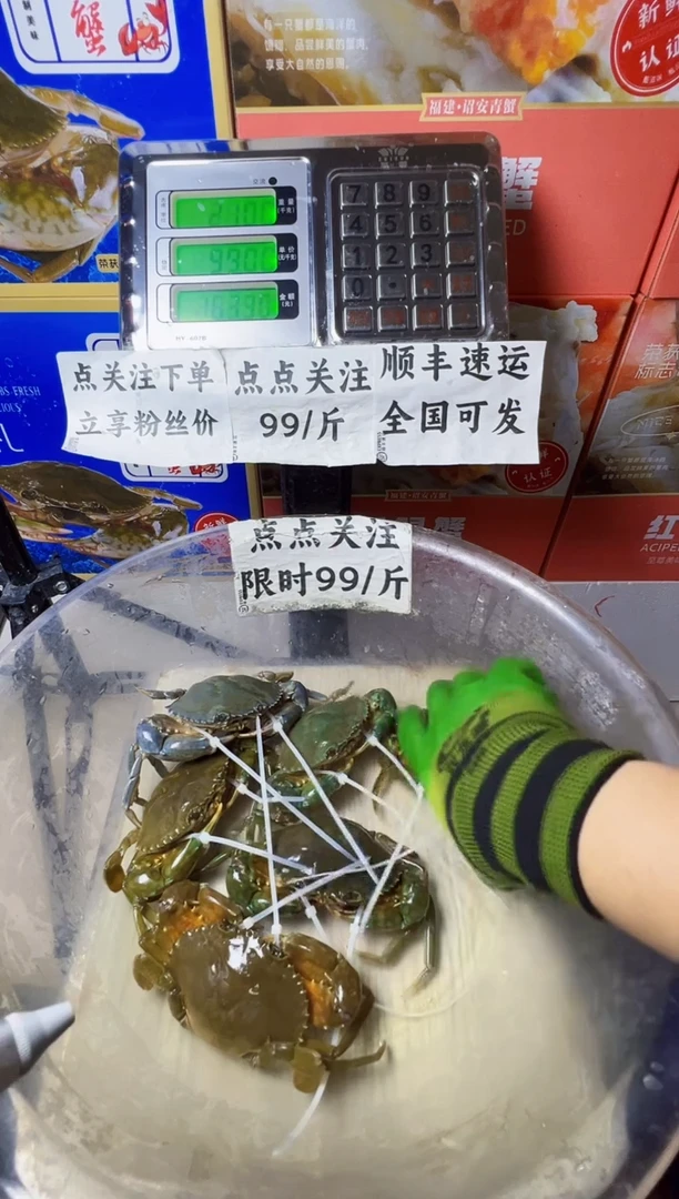 中国大陆福建漳州青蟹