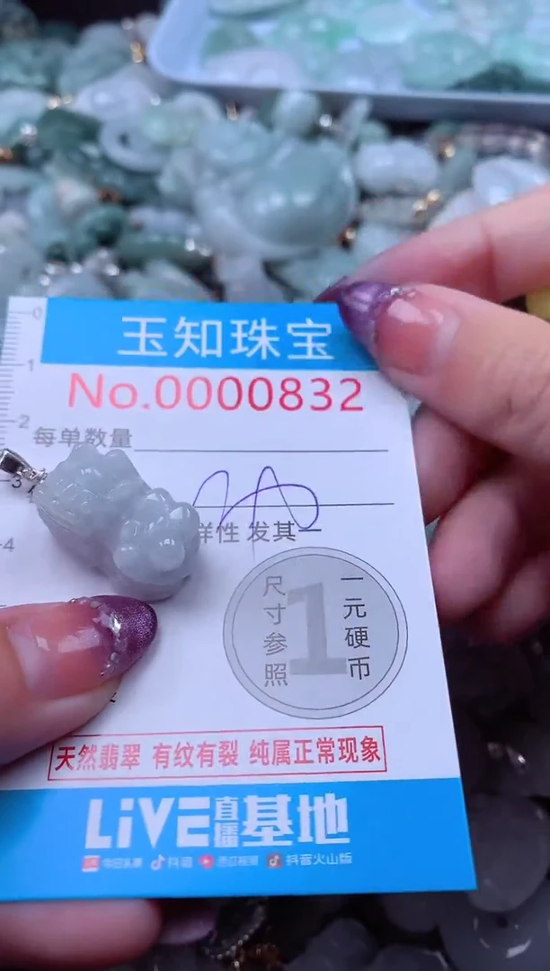 翡翠未镶嵌吊坠(不含链)832