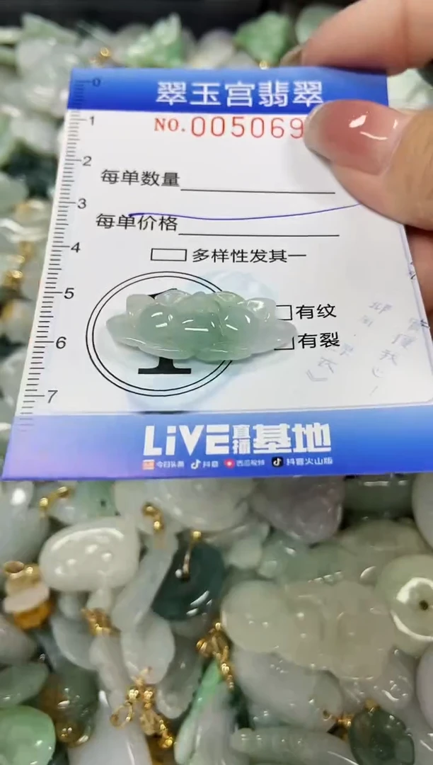 【闪购商品】翡翠颈饰未镶嵌闪购0050694