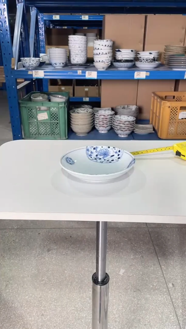 陶瓷两只6.5英寸盘子