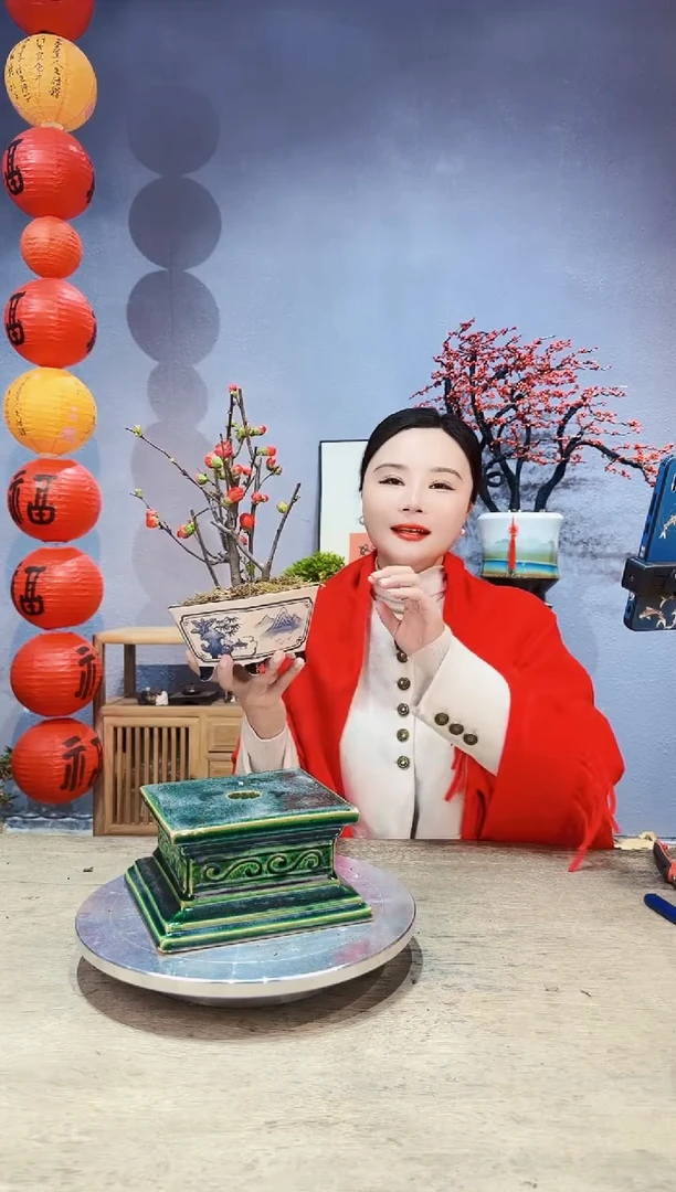 【闪购商品】盆景海棠 长寿冠