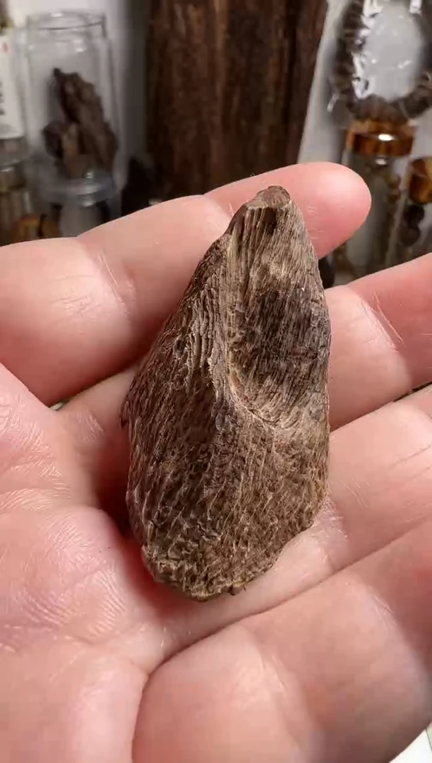 沉香沉香碎屑马泥涝沉水料2.6克