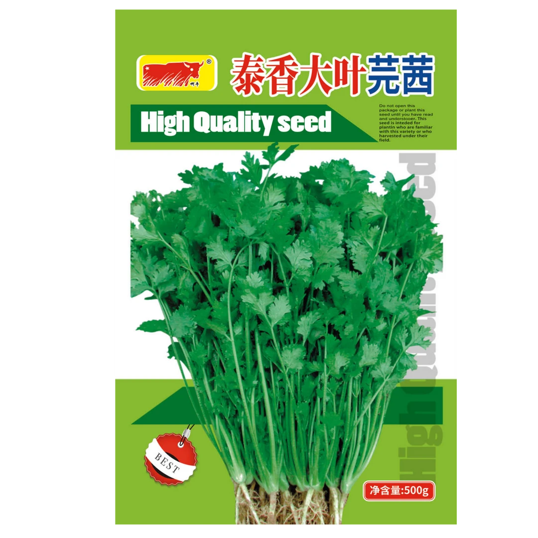 泰香芫茜香菜籽蔬菜种子/香菜种子（净含量：500克）蔬菜家里美女