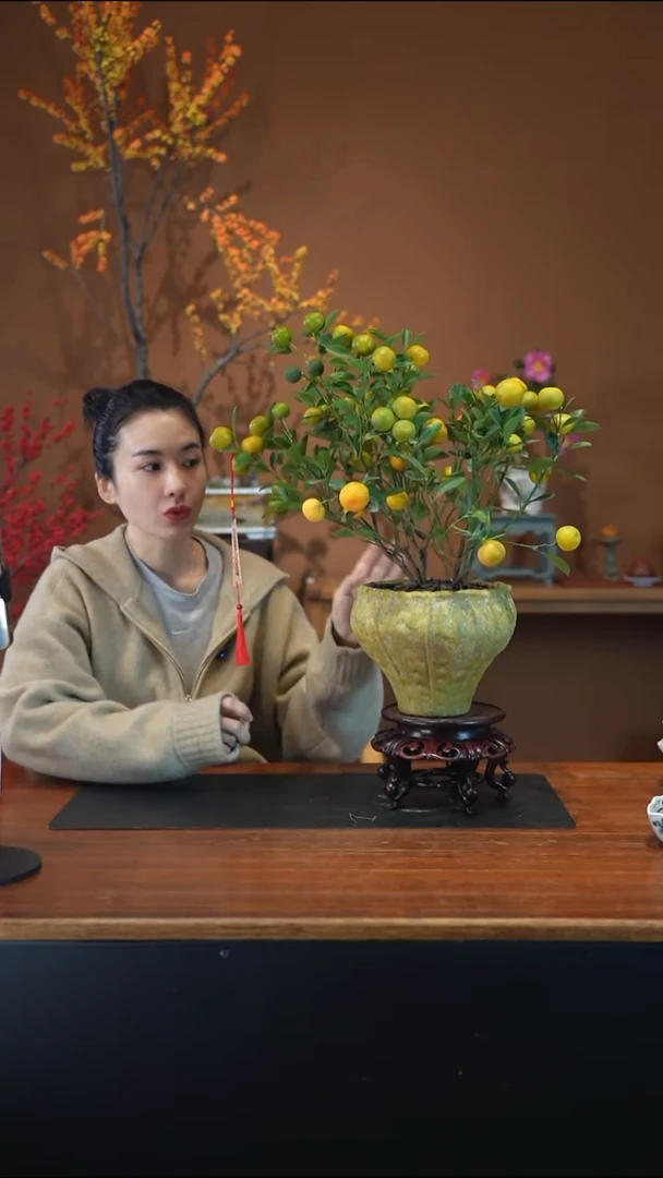 全部花朵小金橘浅绿盆盆景盆景