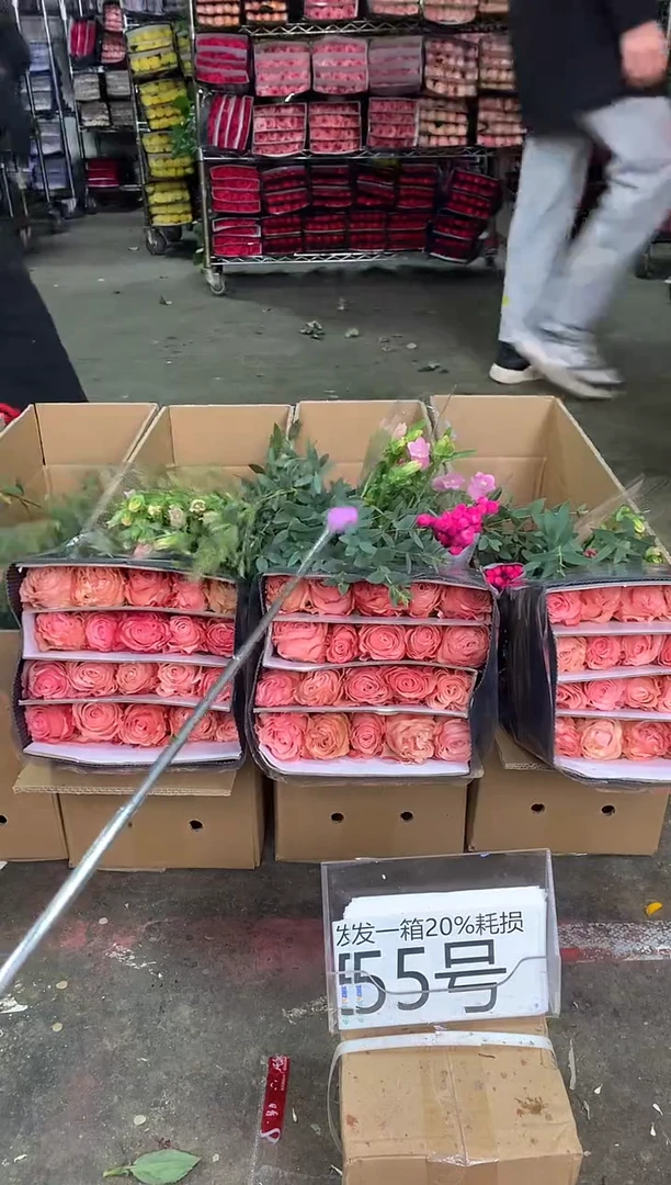 55号♥中通含20%耗损发一箱鲜花